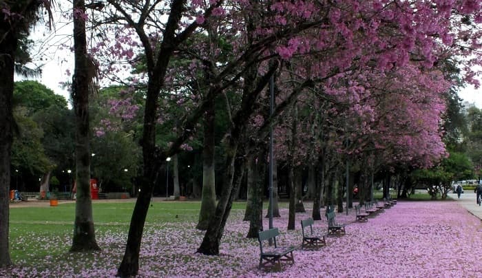 Parque da Redenção / Foto: TripAdvisor 