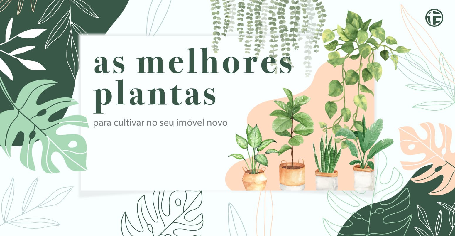 Descubra plantas fáceis de cuidar, que apresentam benefícios e servem como belas decorações.